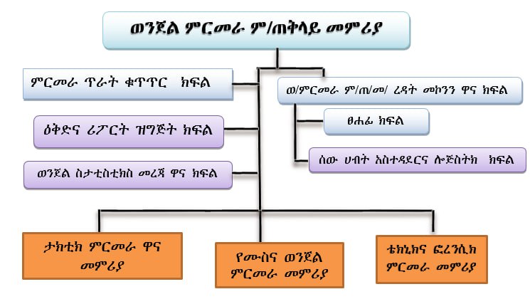 የወንጀል ምርመራ መዋቅር | Crime Prevention Structure